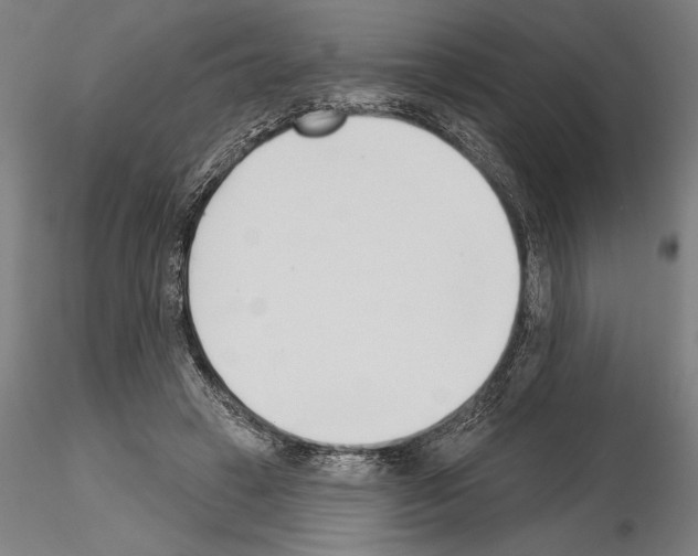 X0000115250449200912111121