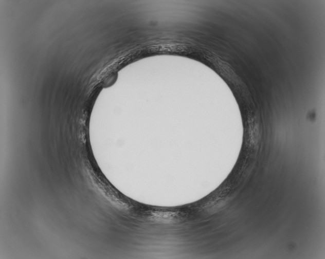 X0000115250450200912111121