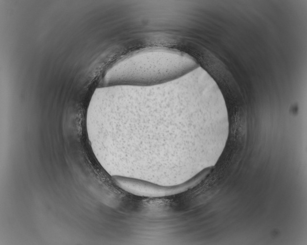 X0000115250452200912111121