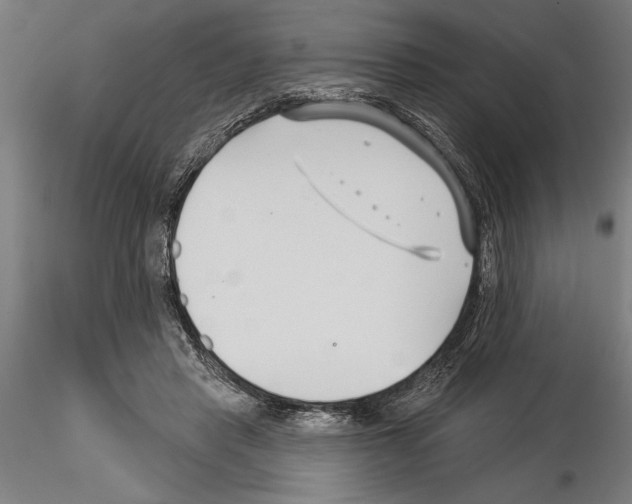 X0000115250453200912111121