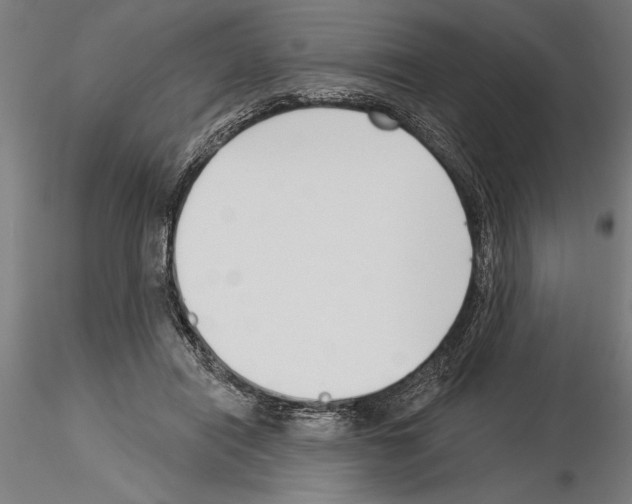X0000115250454200912111121