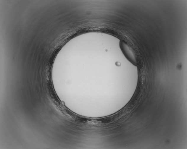 X0000115250455200912111121