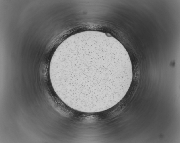 X0000115250456200912111121