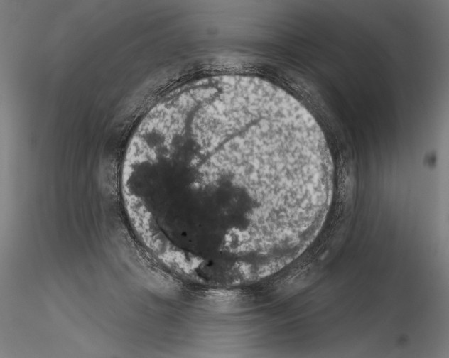 X0000115250457200912111121