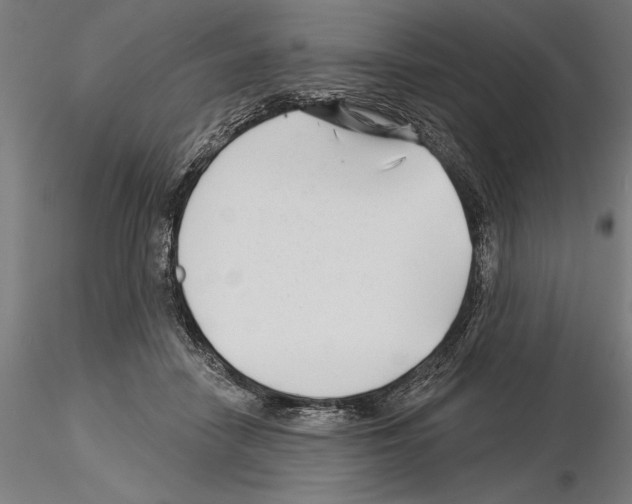 X0000115250458200912111121