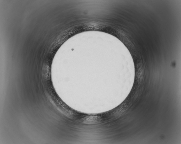 X0000115250459200912111121