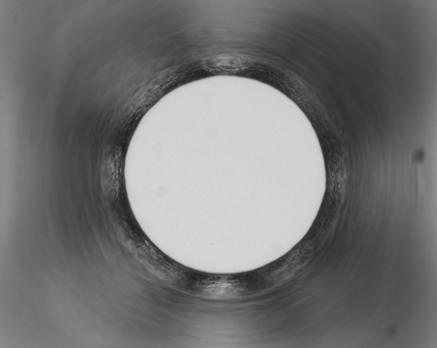 X0000115250460200912111121