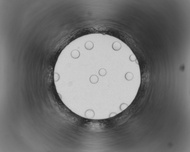 X0000115250464200912111121