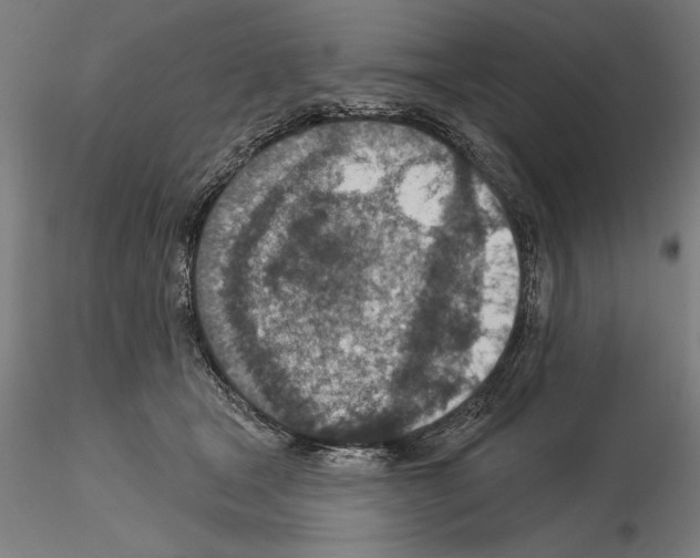 X0000115250465200912111121