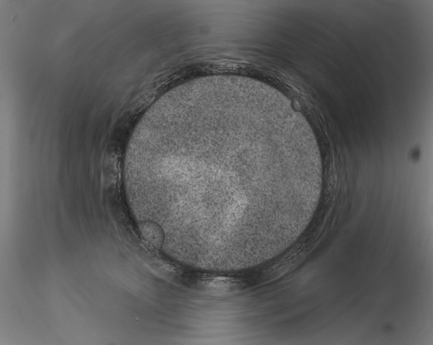 X0000115250467200912111121
