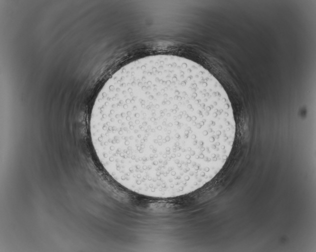 X0000115250470200912111121