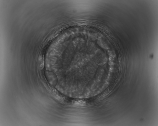 X0000115250471200912111121