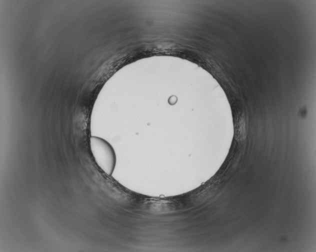 X0000115250472200912111121