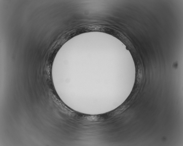 X0000115250473200912111121