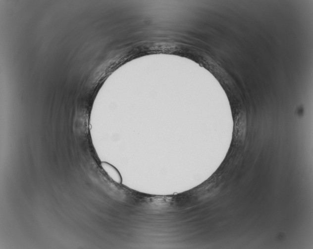 X0000115250474200912111121