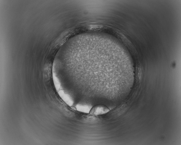 X0000115250475200912111121