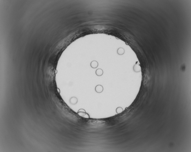 X0000115250476200912111121