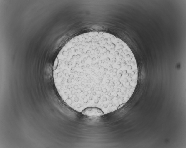 X0000115250478200912111121