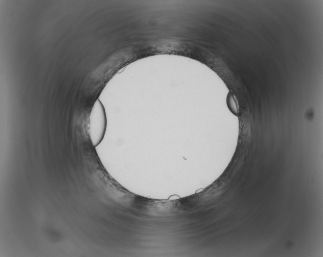 X0000115250479200912111121