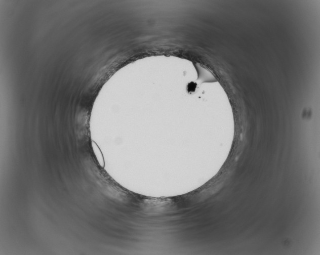 X0000115250480200912111121