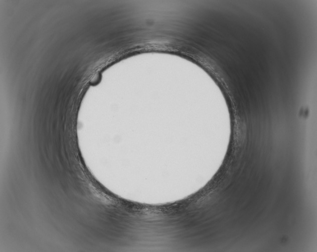 X0000115250481200912111120