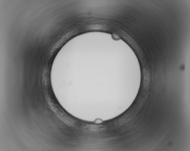 X0000115250482200912111120