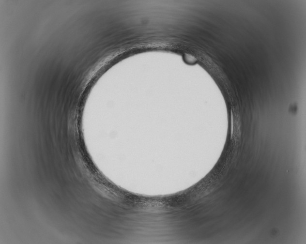 X0000115250483200912111120