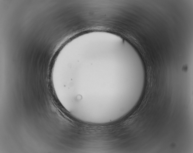 X0000115250484200912111120