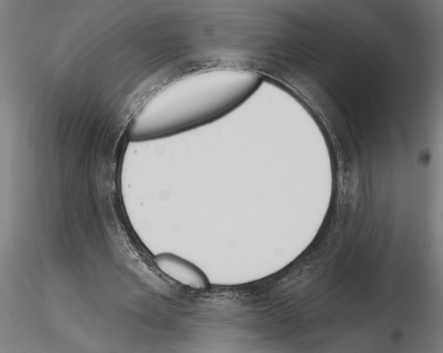 X0000115250485200912111120