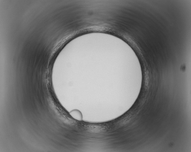 X0000115250486200912111120