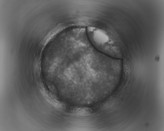 X0000115250488200912111120
