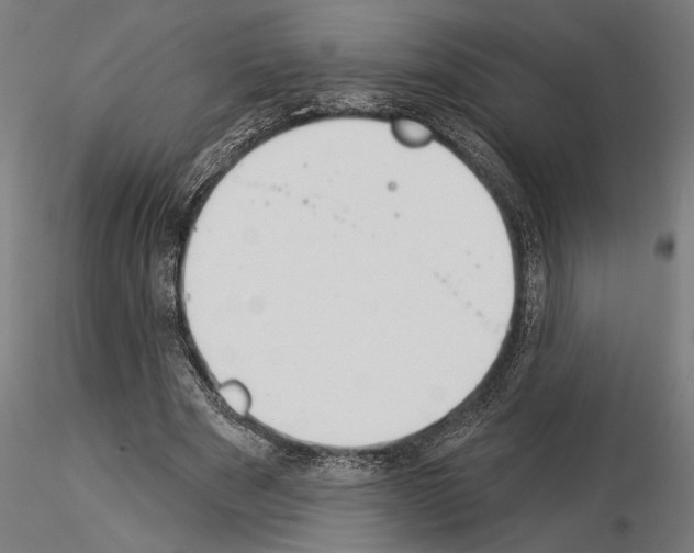 X0000115250489200912111120