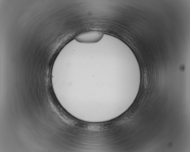 X0000115250490200912111120