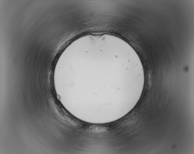 X0000115250491200912111120