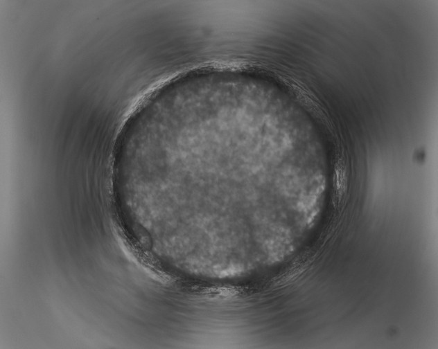 X0000115250492200912111120