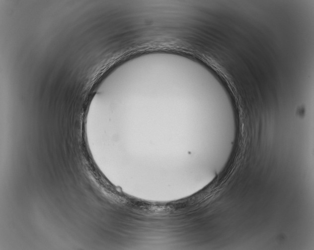 X0000115250493200912111120