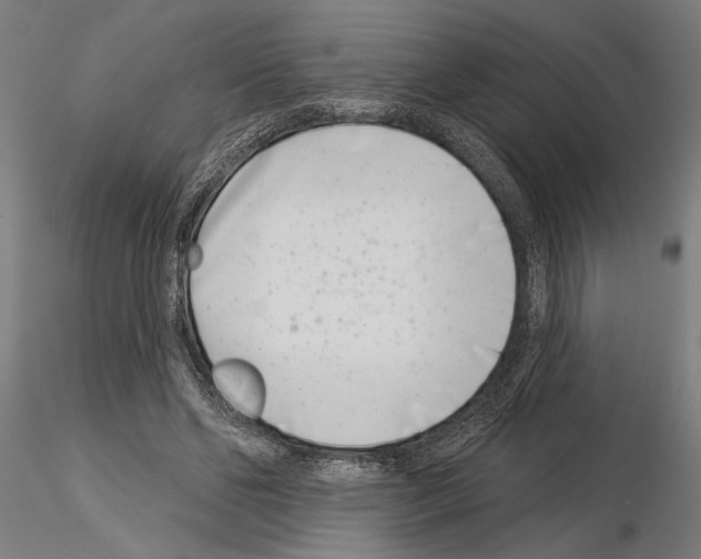 X0000115250494200912111120