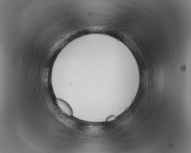 X0000115250495200912111120