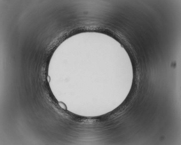 X0000115250497200912111120