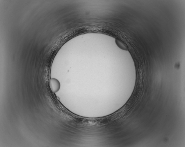 X0000115250498200912111120