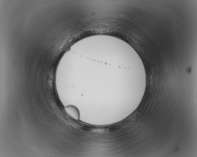 X0000115250499200912111120
