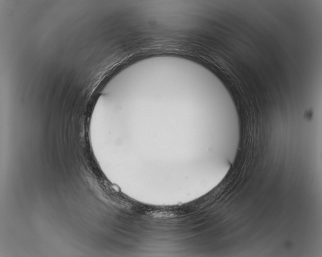 X0000115250500200912111120