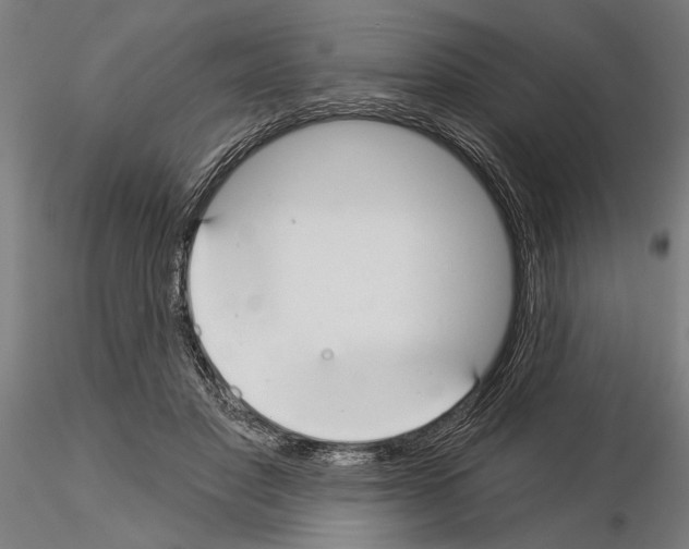 X0000115250501200912111120