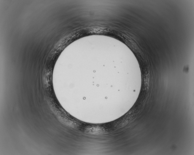 X0000115250503200912111120