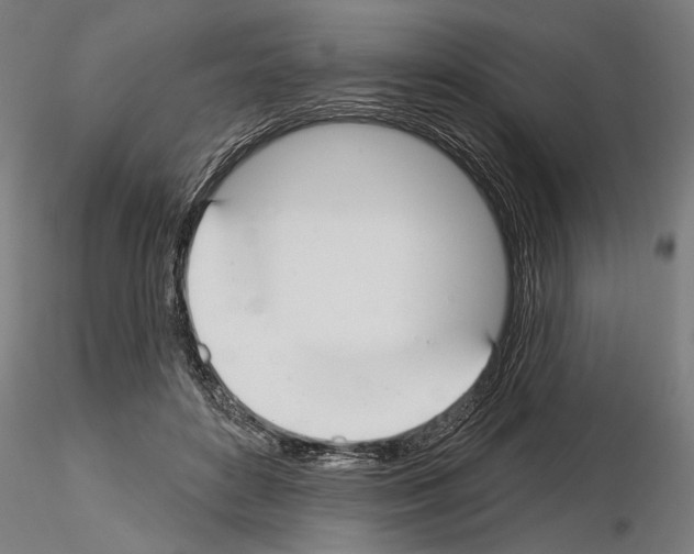 X0000115250504200912111120