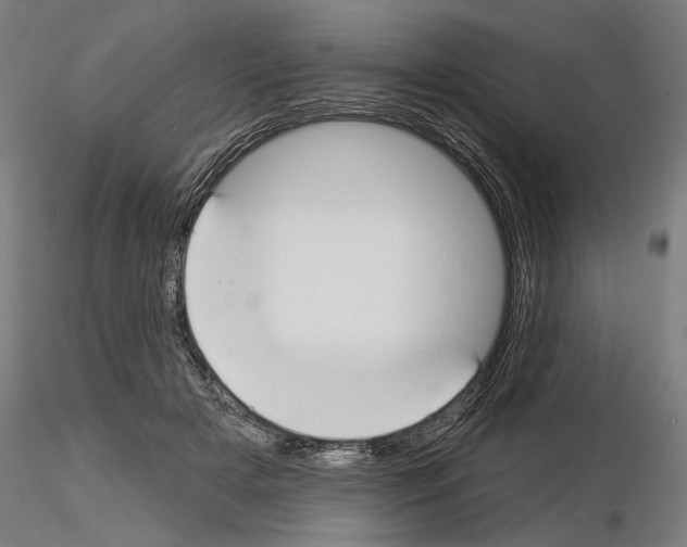 X0000115250505200912111120