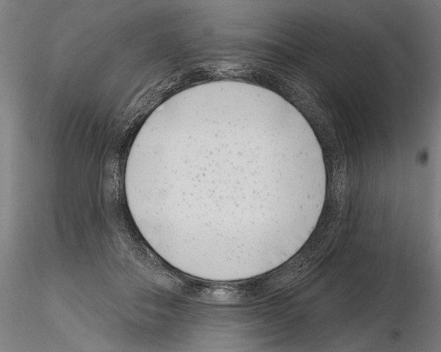 X0000115250506200912111120