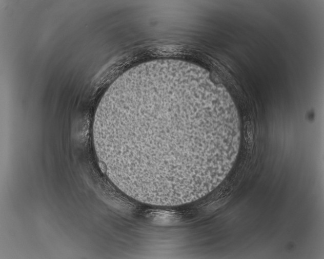 X0000115250507200912111120