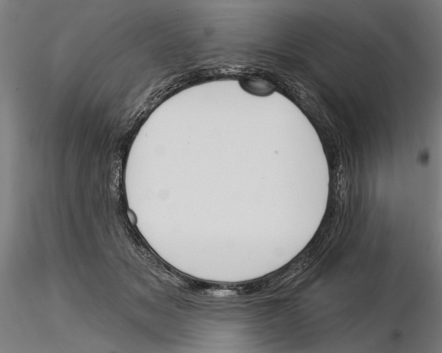X0000115250509200912111120