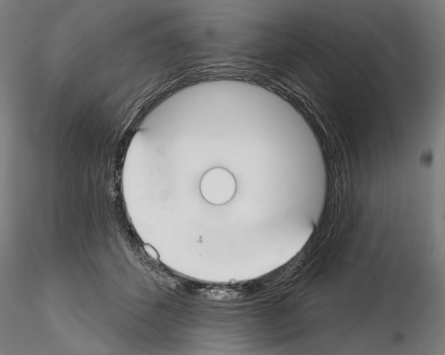X0000115250512200912111120